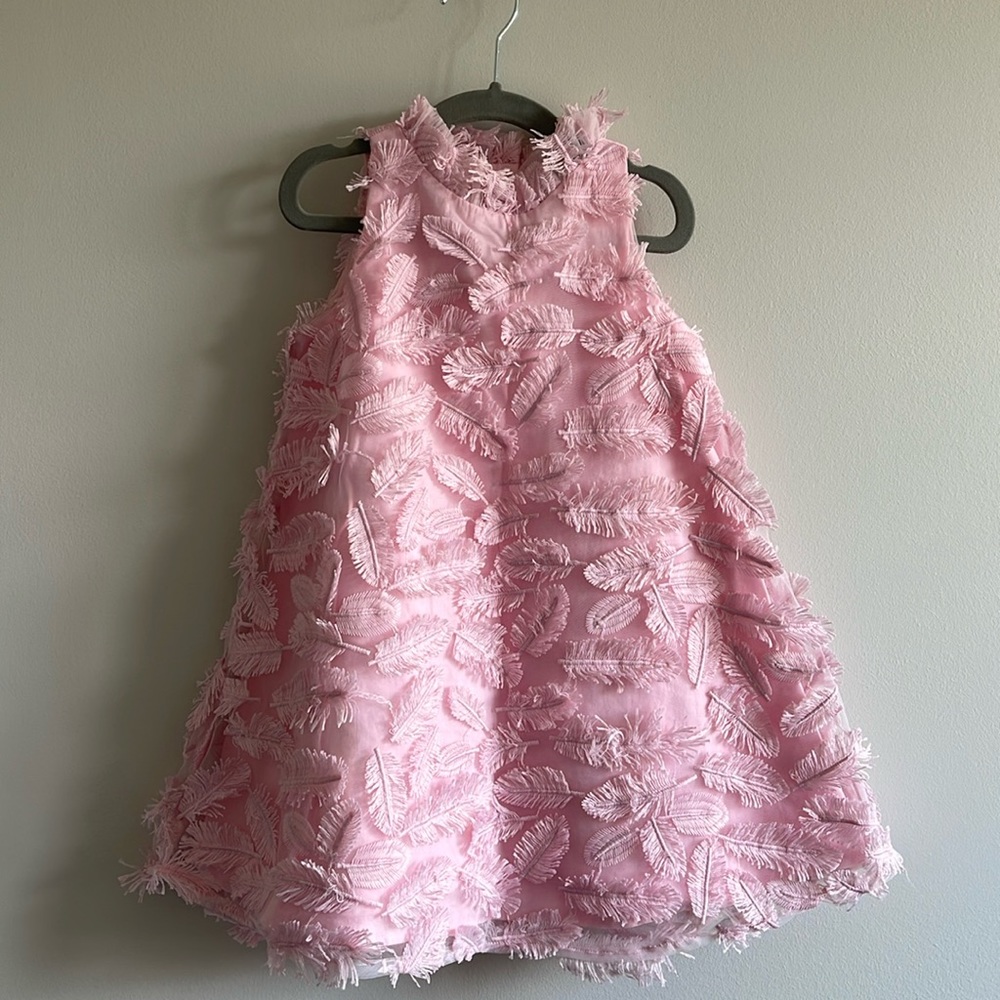 Janie and Jack pink feather fringe, dress, Size 4